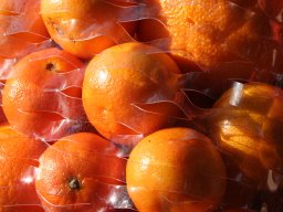 Kocsor Dorka muanyag taska_2_2008